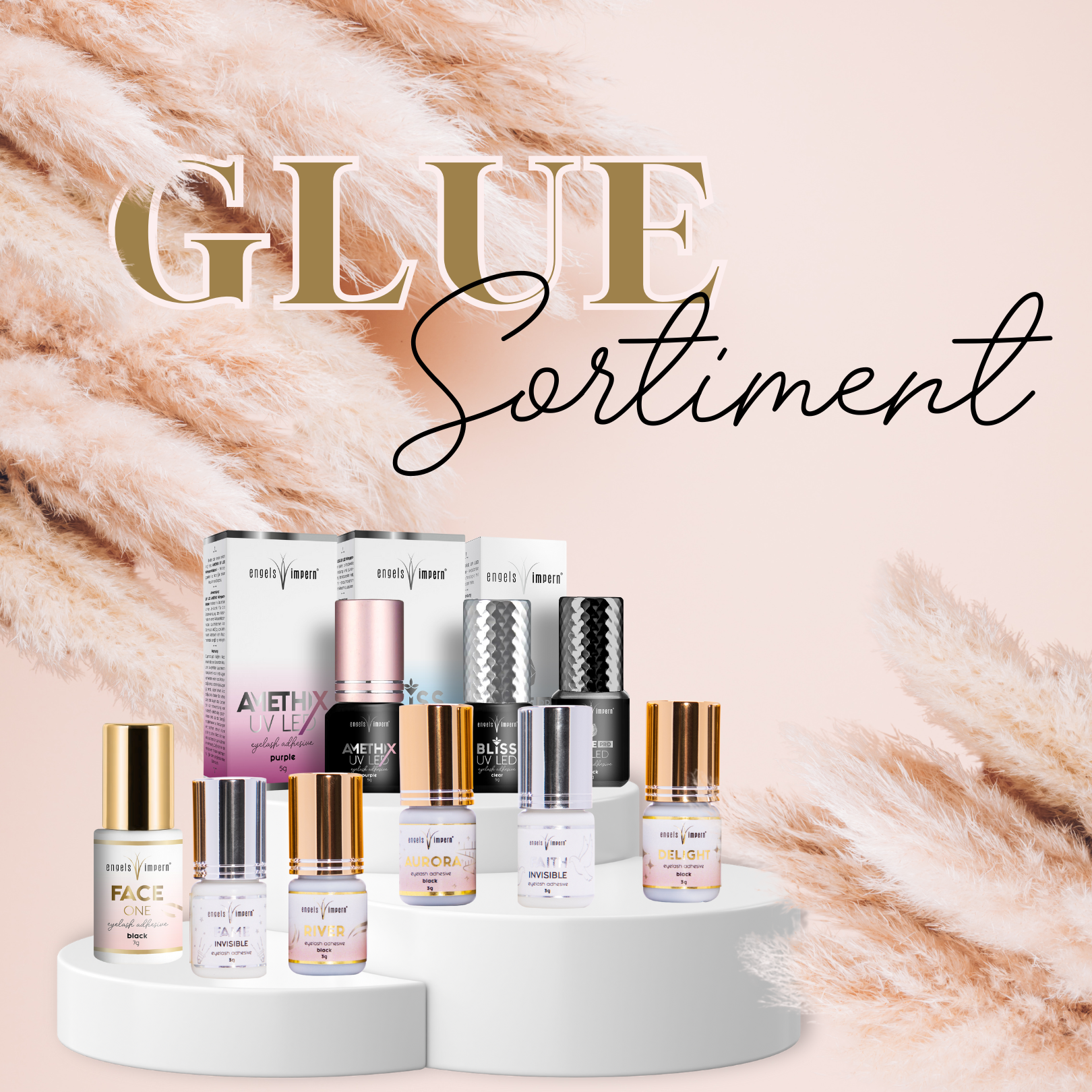 Wimpernkleber Sortiment von EngelsWimpern® – Hochwertige Kleber für professionelle Wimpernverlängerungen, einschließlich Ethix, Blyss und Delight.